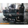 現(xiàn)貨供應優(yōu)質(zhì)斗山大宇發(fā)電機組，帕金斯發(fā)電機組，德國曼發(fā)電機組